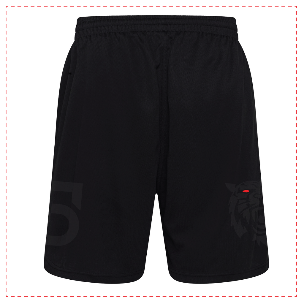 Adult Lion Training Set – Savage Martial Arts T-Shirt & Shorts.