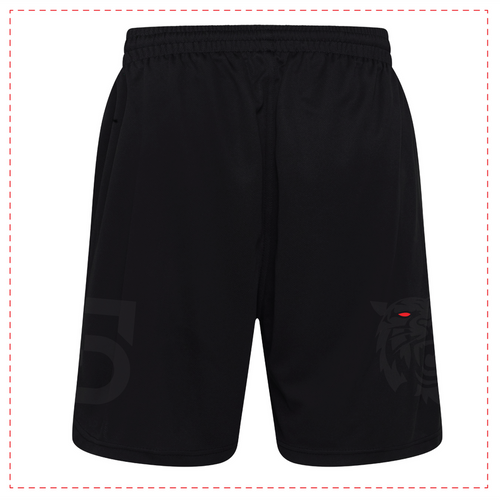 Adult Lion Training Set – Savage Martial Arts T-Shirt & Shorts.